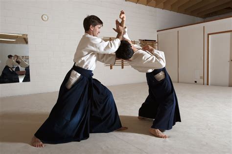 aikido japanese martial arts