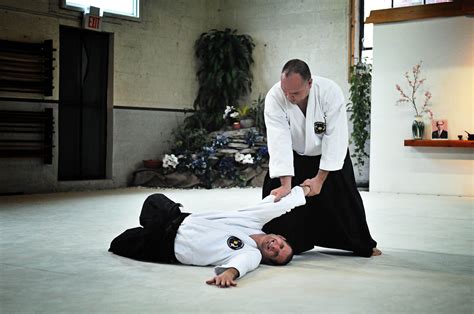 aikido martial arts schools