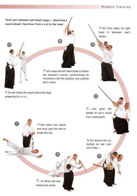 Aikido Techniques And Tactics