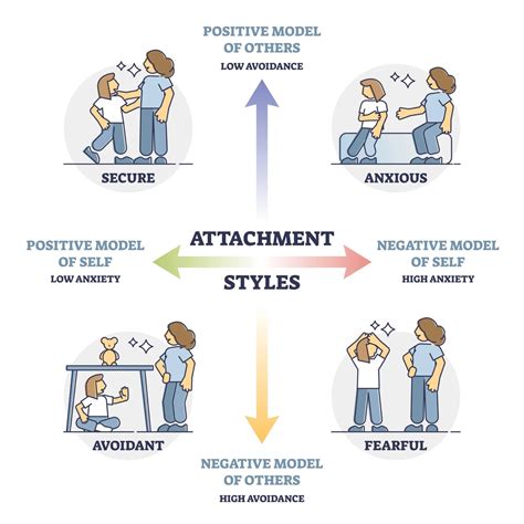 Ainsworth Attachment Theory Example