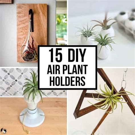 DIY Air Plant Holders How To Make An Air Plant Holder
