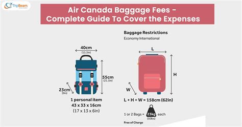 Air Canada Baggage Fees Payment Method