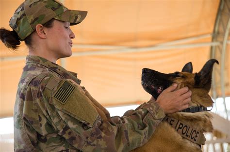 Air Force Canine Handler