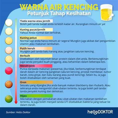 urine atau air kencing