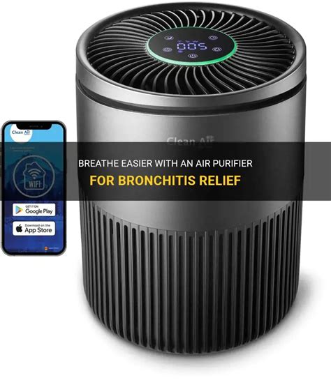 Air Purifier For Bronchitis