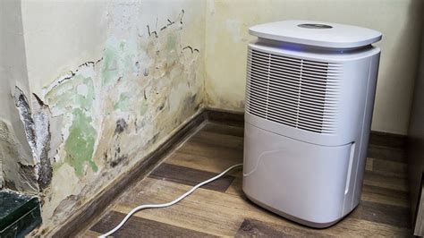 Air Purifiers Causing Mold