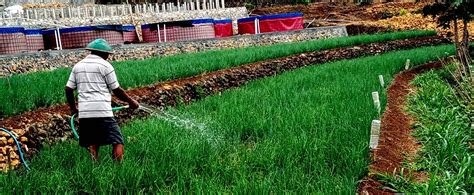 air tanah untuk pertanian