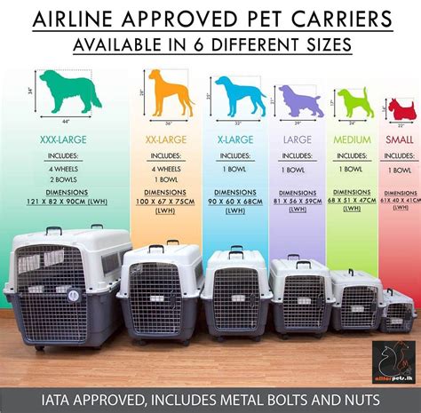 Airline Dog Crate Rules