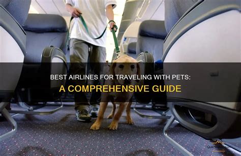 Airlines That Allow Exotic Pets