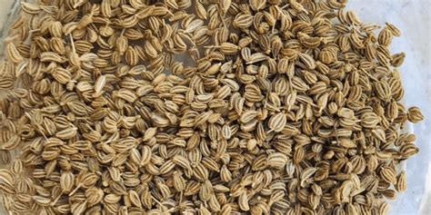 Ajwain Meaning