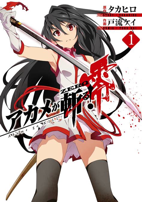 akame ga kiru sequel