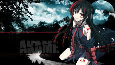 akame wallpaper 4k pc