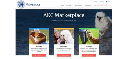 akc marketplace login