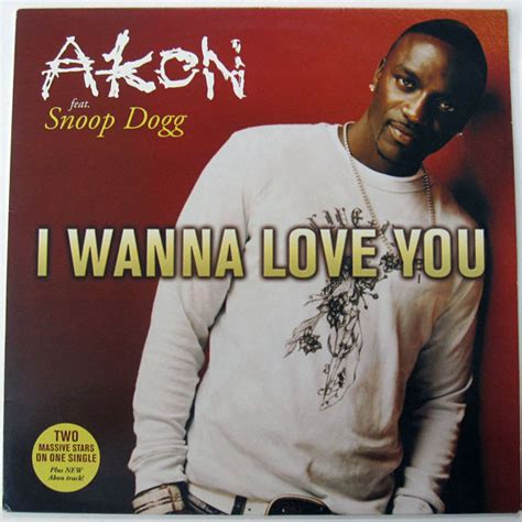akon ft snoop dogg-i wanna love you