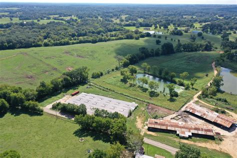 alabama cattle farms for sale