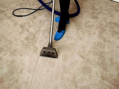 aladdin carpet cleaning chesterfield mi