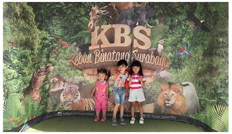 Kebun Binatang Surabaya, Ada Paket Wisata Virtualnya Juga Loh