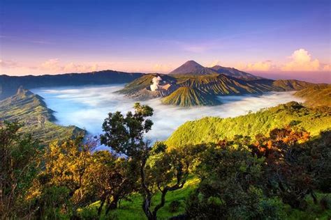 alamat lengkap gunung bromo