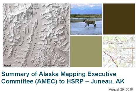 Alaska Mapping Executive Committee
