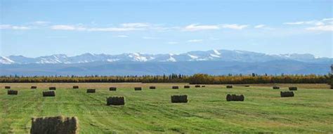 alaska farms and ranches for sale