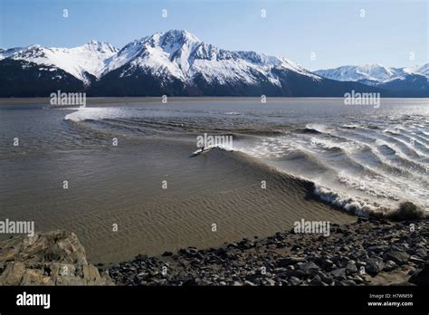 Alaska Turnagain Arm Tide
