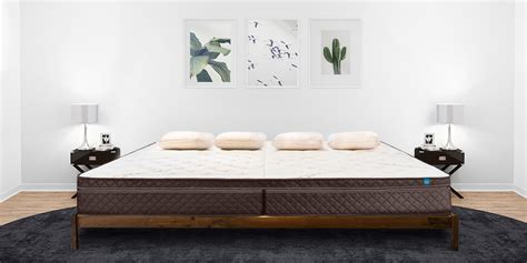 Alaskan King Bed Comparison Beds 39449 Home Design Ideas