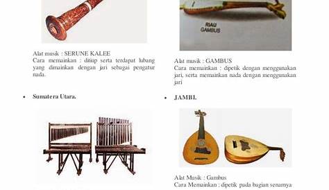 13+ Alat Musik Tradisional Sumatera Selatan : Gambar Penjelasan