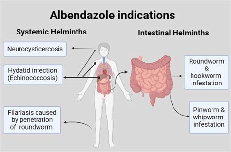 albendazole dosage for tapeworm