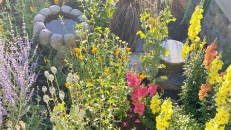 Alberta Flowers For Bees