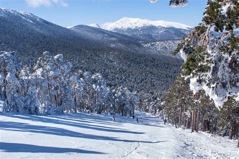 alcaparrosa de la sierra de guadarrama