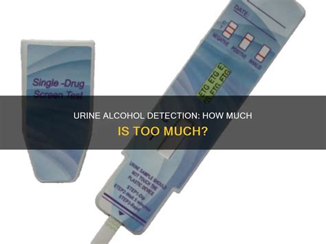 Alcohol Detection In Urine Tests