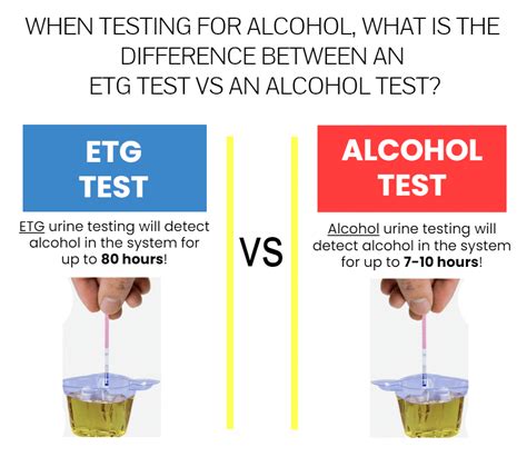 Alcohol Testing Etg
