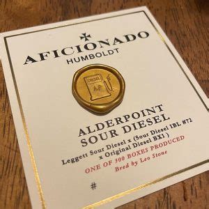 Alderpoint Sour