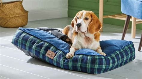 Aldi Dog Bed Australia