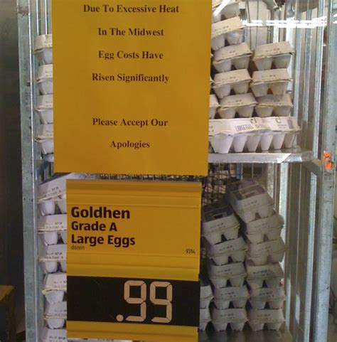 aldi grocery store prices eggs