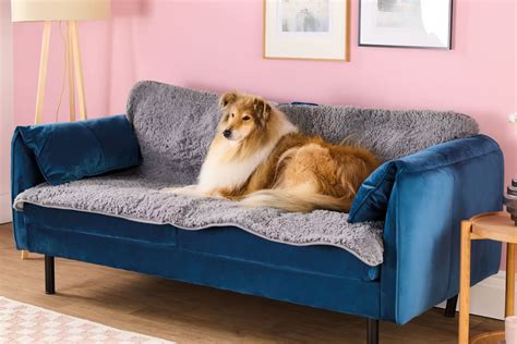 Aldi Sofa Pet Rug