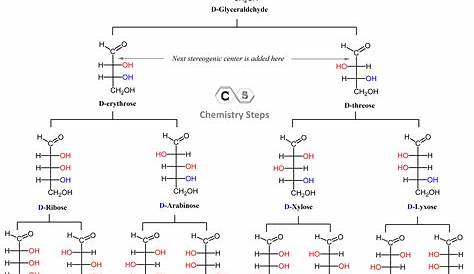 Aldose And Ketose Isomerism s s Chemistry Steps