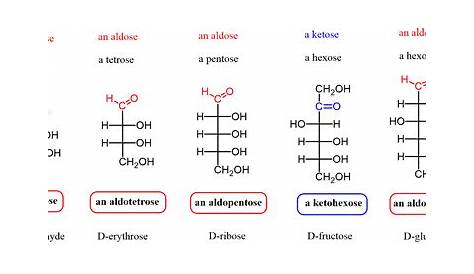 PPT The two families of monosaccharides are aldose and
