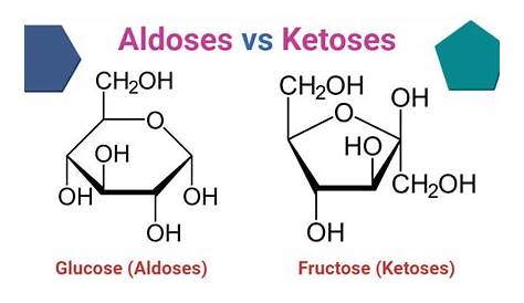 Aldose Vs Ketose Ring Structure Short Version Glycolysis