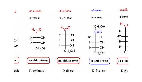 Difference Between Aldose and Ketose