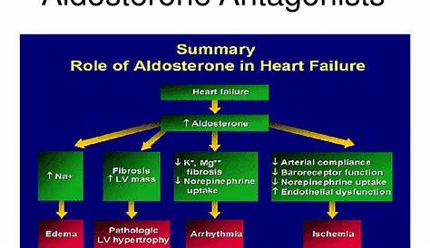 Aldosterone Receptor Antagonists Heart Failure Pharmacological Treatment Of Patients With Chronic