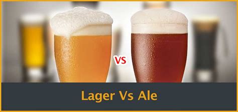 Ale Lager Ipa Difference
