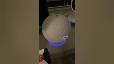 Alexa Making Fart Noises