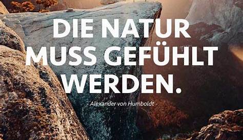 Alexander von Humboldt Zitat: Jedes Naturgesetz, das - sagdas