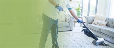 alexandria green carpet cleaning