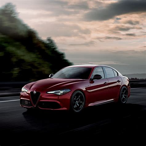 alfa romeo giulia usata roma