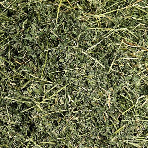 alfalfa hay for horses benefits