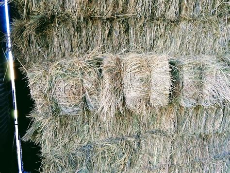 alfalfa hay for sale idaho