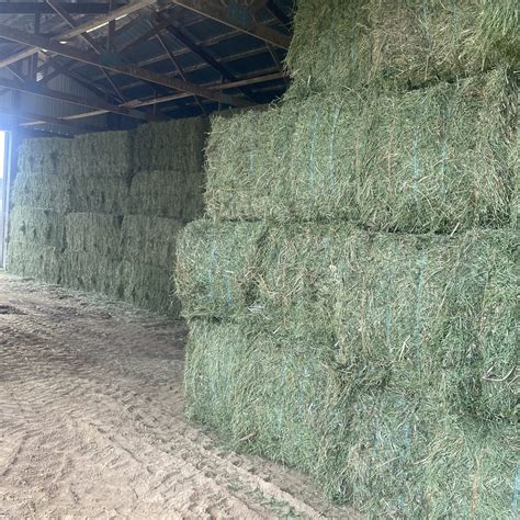 alfalfa hay for sale in mo