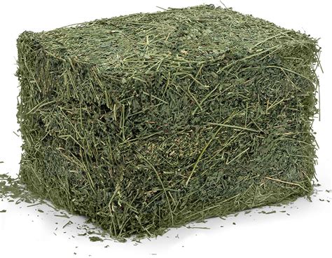 alfalfa hay price per ton
